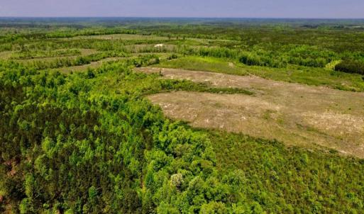 Photo of UNDER CONTRACT!  50.77 Acres of Hunting Land For Sale in Halifax County NC!