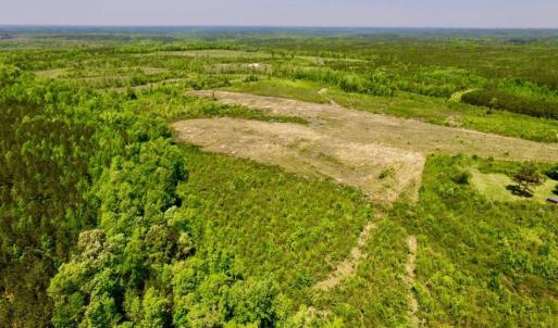 Photo of UNDER CONTRACT!  50.77 Acres of Hunting Land For Sale in Halifax County NC!