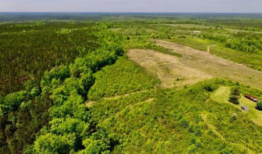 Photo of UNDER CONTRACT!  50.77 Acres of Hunting Land For Sale in Halifax County NC!