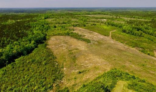 Photo of UNDER CONTRACT!  50.77 Acres of Hunting Land For Sale in Halifax County NC!