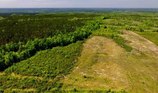 Photo of UNDER CONTRACT!  50.77 Acres of Hunting Land For Sale in Halifax County NC!