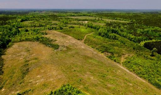 Photo of UNDER CONTRACT!  50.77 Acres of Hunting Land For Sale in Halifax County NC!