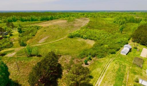 Photo of UNDER CONTRACT!  50.77 Acres of Hunting Land For Sale in Halifax County NC!