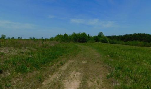 Photo of UNDER CONTRACT!  50.77 Acres of Hunting Land For Sale in Halifax County NC!