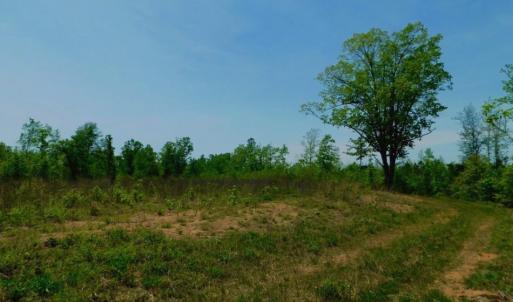 Photo of UNDER CONTRACT!  50.77 Acres of Hunting Land For Sale in Halifax County NC!