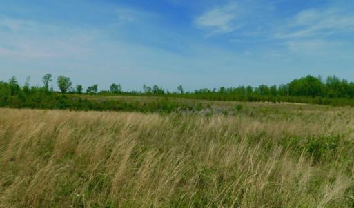 Photo of UNDER CONTRACT!  50.77 Acres of Hunting Land For Sale in Halifax County NC!