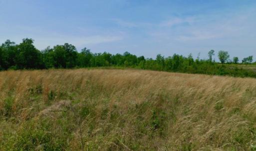 Photo of UNDER CONTRACT!  50.77 Acres of Hunting Land For Sale in Halifax County NC!