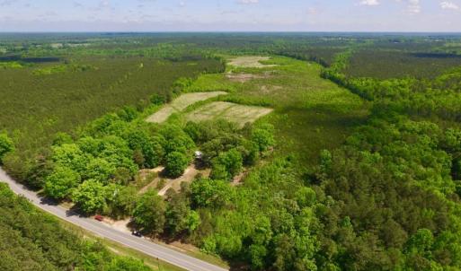 Photo of UNDER CONTRACT!  102 Acres of Hunting Land For Sale in Halifax County NC!