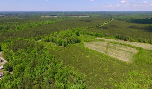 Photo of UNDER CONTRACT!  102 Acres of Hunting Land For Sale in Halifax County NC!