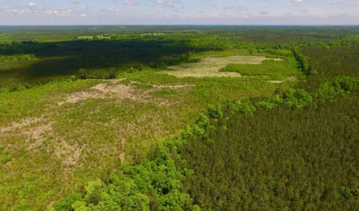 Photo of UNDER CONTRACT!  102 Acres of Hunting Land For Sale in Halifax County NC!