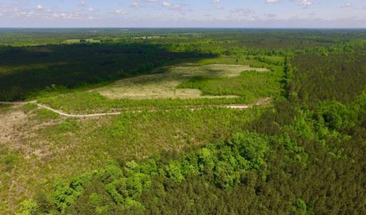 Photo of UNDER CONTRACT!  102 Acres of Hunting Land For Sale in Halifax County NC!