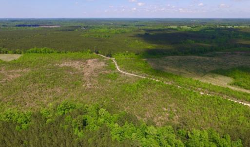 Photo of UNDER CONTRACT!  102 Acres of Hunting Land For Sale in Halifax County NC!