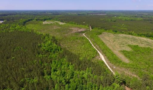 Photo of UNDER CONTRACT!  102 Acres of Hunting Land For Sale in Halifax County NC!