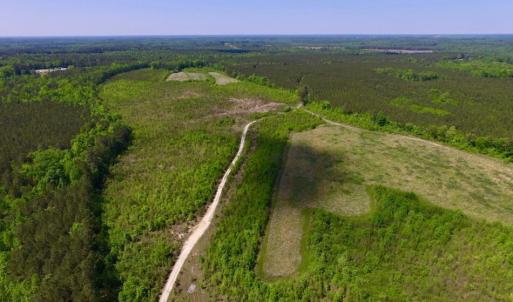 Photo of UNDER CONTRACT!  102 Acres of Hunting Land For Sale in Halifax County NC!