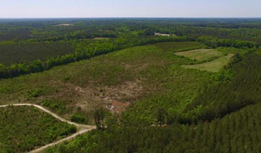Photo of UNDER CONTRACT!  102 Acres of Hunting Land For Sale in Halifax County NC!