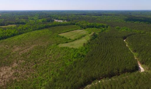 Photo of UNDER CONTRACT!  102 Acres of Hunting Land For Sale in Halifax County NC!