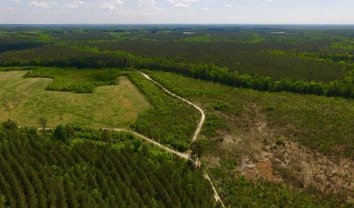 Photo of UNDER CONTRACT!  102 Acres of Hunting Land For Sale in Halifax County NC!