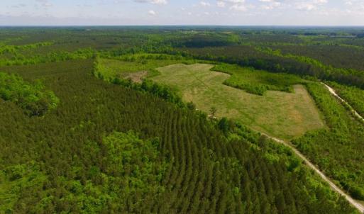 Photo of UNDER CONTRACT!  102 Acres of Hunting Land For Sale in Halifax County NC!