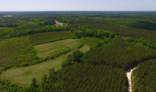 Photo of UNDER CONTRACT!  102 Acres of Hunting Land For Sale in Halifax County NC!
