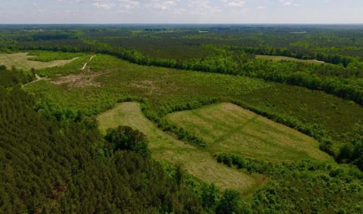 Photo of UNDER CONTRACT!  102 Acres of Hunting Land For Sale in Halifax County NC!