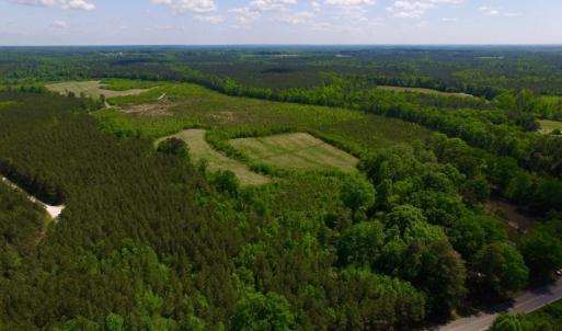 Photo of UNDER CONTRACT!  102 Acres of Hunting Land For Sale in Halifax County NC!
