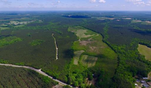 Photo of UNDER CONTRACT!  102 Acres of Hunting Land For Sale in Halifax County NC!