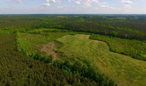 Photo of UNDER CONTRACT!  102 Acres of Hunting Land For Sale in Halifax County NC!