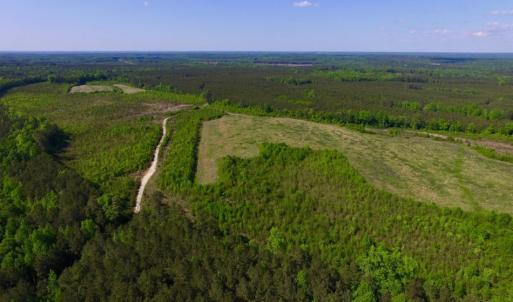 Photo of UNDER CONTRACT!  102 Acres of Hunting Land For Sale in Halifax County NC!