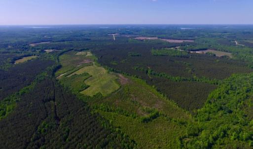 Photo of UNDER CONTRACT!  102 Acres of Hunting Land For Sale in Halifax County NC!