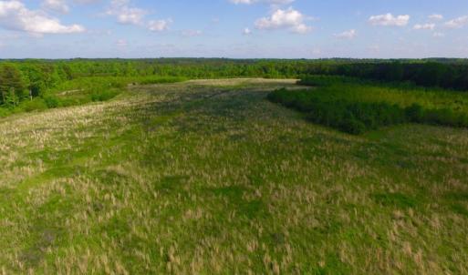 Photo of UNDER CONTRACT!  102 Acres of Hunting Land For Sale in Halifax County NC!