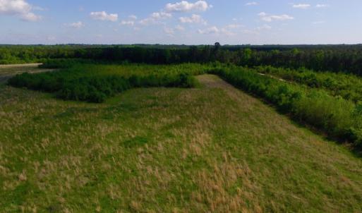 Photo of UNDER CONTRACT!  102 Acres of Hunting Land For Sale in Halifax County NC!