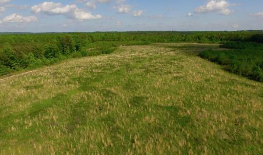 Photo of UNDER CONTRACT!  102 Acres of Hunting Land For Sale in Halifax County NC!