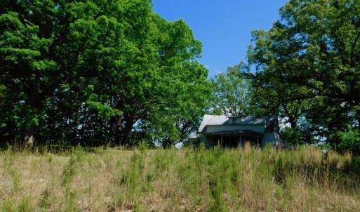 Photo of UNDER CONTRACT!  102 Acres of Hunting Land For Sale in Halifax County NC!