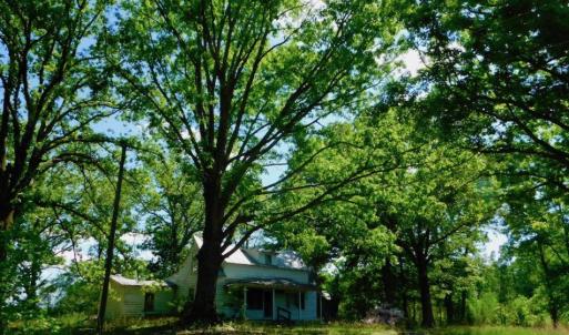Photo of UNDER CONTRACT!  102 Acres of Hunting Land For Sale in Halifax County NC!