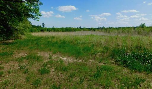 Photo of UNDER CONTRACT!  102 Acres of Hunting Land For Sale in Halifax County NC!