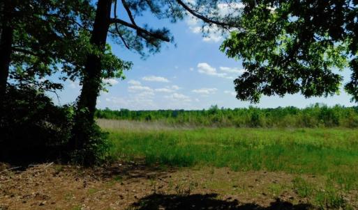 Photo of UNDER CONTRACT!  102 Acres of Hunting Land For Sale in Halifax County NC!