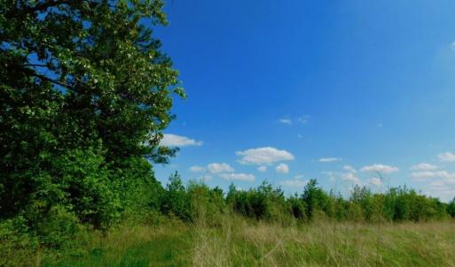Photo of UNDER CONTRACT!  102 Acres of Hunting Land For Sale in Halifax County NC!
