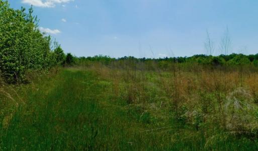 Photo of UNDER CONTRACT!  102 Acres of Hunting Land For Sale in Halifax County NC!