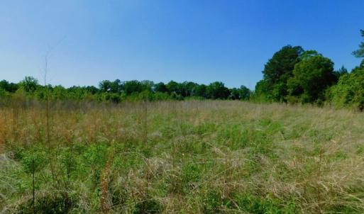 Photo of UNDER CONTRACT!  102 Acres of Hunting Land For Sale in Halifax County NC!