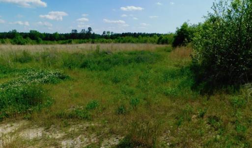 Photo of UNDER CONTRACT!  102 Acres of Hunting Land For Sale in Halifax County NC!