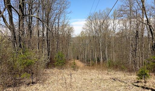 Photo of UNDER CONTRACT!  99 Acres of Hunting Land for Sale in Rockbridge County VA!
