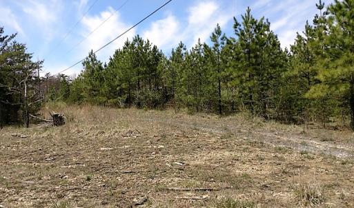 Photo of UNDER CONTRACT!  99 Acres of Hunting Land for Sale in Rockbridge County VA!
