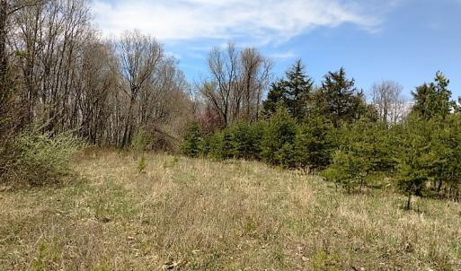 Photo of UNDER CONTRACT!  99 Acres of Hunting Land for Sale in Rockbridge County VA!