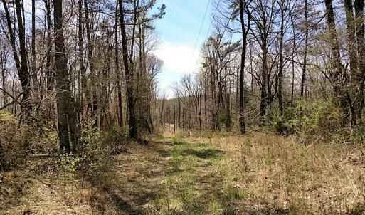 Photo of UNDER CONTRACT!  99 Acres of Hunting Land for Sale in Rockbridge County VA!