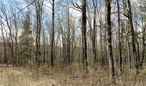 Photo of UNDER CONTRACT!  99 Acres of Hunting Land for Sale in Rockbridge County VA!