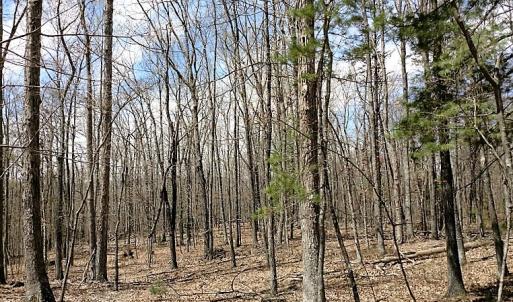 Photo of UNDER CONTRACT!  99 Acres of Hunting Land for Sale in Rockbridge County VA!
