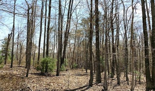 Photo of UNDER CONTRACT!  99 Acres of Hunting Land for Sale in Rockbridge County VA!