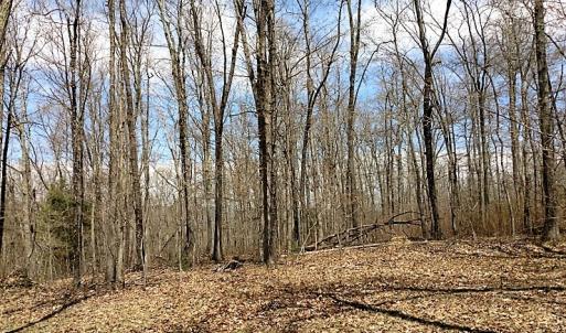 Photo of UNDER CONTRACT!  99 Acres of Hunting Land for Sale in Rockbridge County VA!