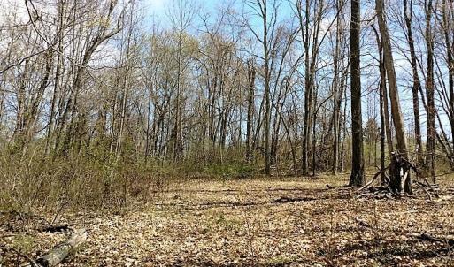 Photo of UNDER CONTRACT!  99 Acres of Hunting Land for Sale in Rockbridge County VA!