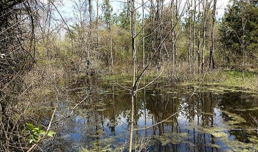 Photo of UNDER CONTRACT!  99 Acres of Hunting Land for Sale in Rockbridge County VA!